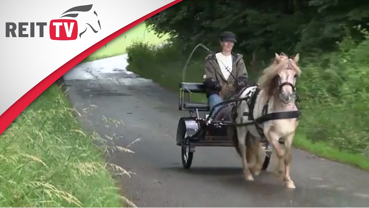 Freizeitreiten - Das hat das Rheinland zu bieten