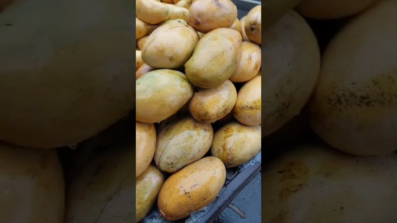 chausa aam#chausa