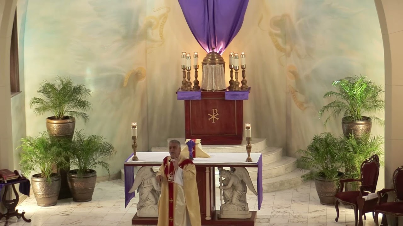 Father Mark Beard's Homily - 