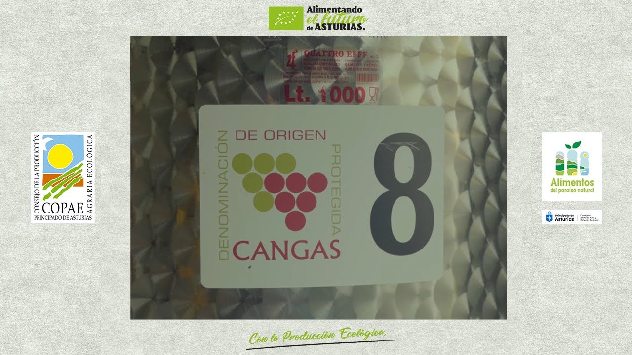 El único vino de Asturias ecológico está en Cecos (Ibias)