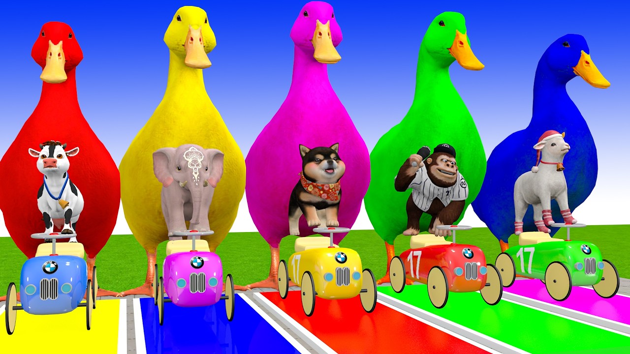 Long Slide Game With Cow Elephant Gorilla Hippopotamus Tiger 3d Animal Game Funny 3d Animals