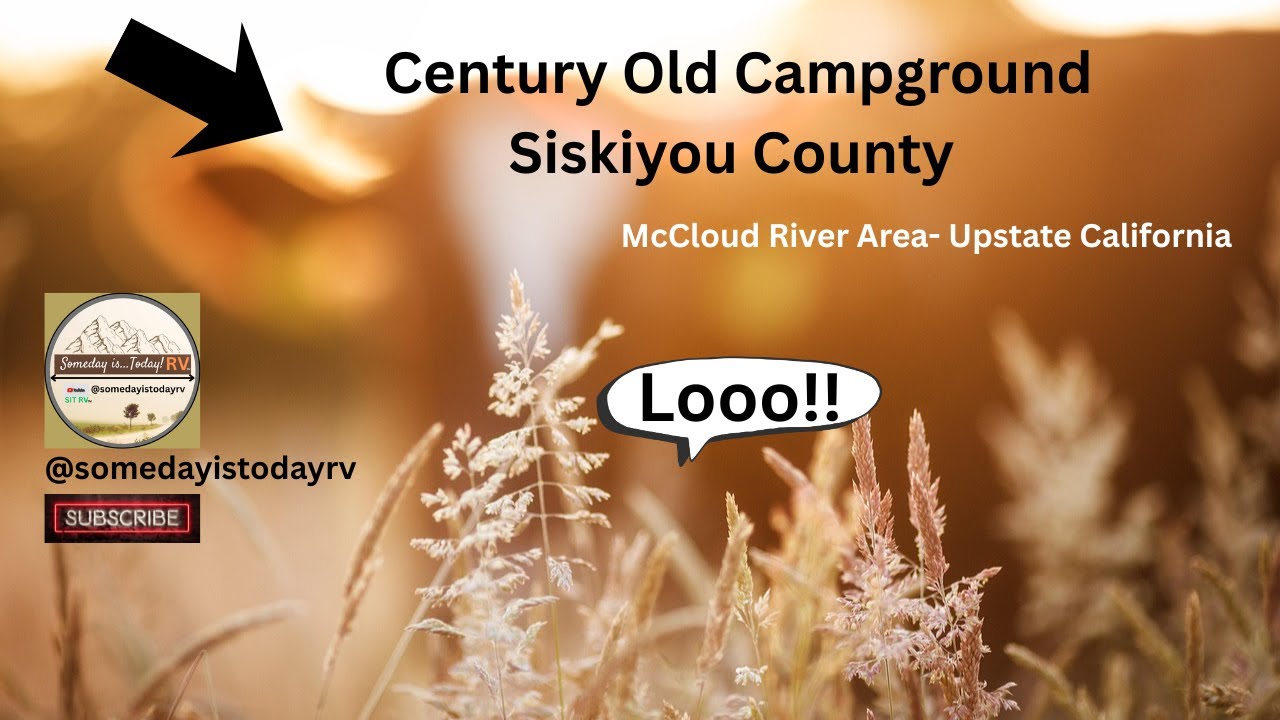 RV to a WILD Cow Camp!? NEW! A rustic logging campground with unique residents! 