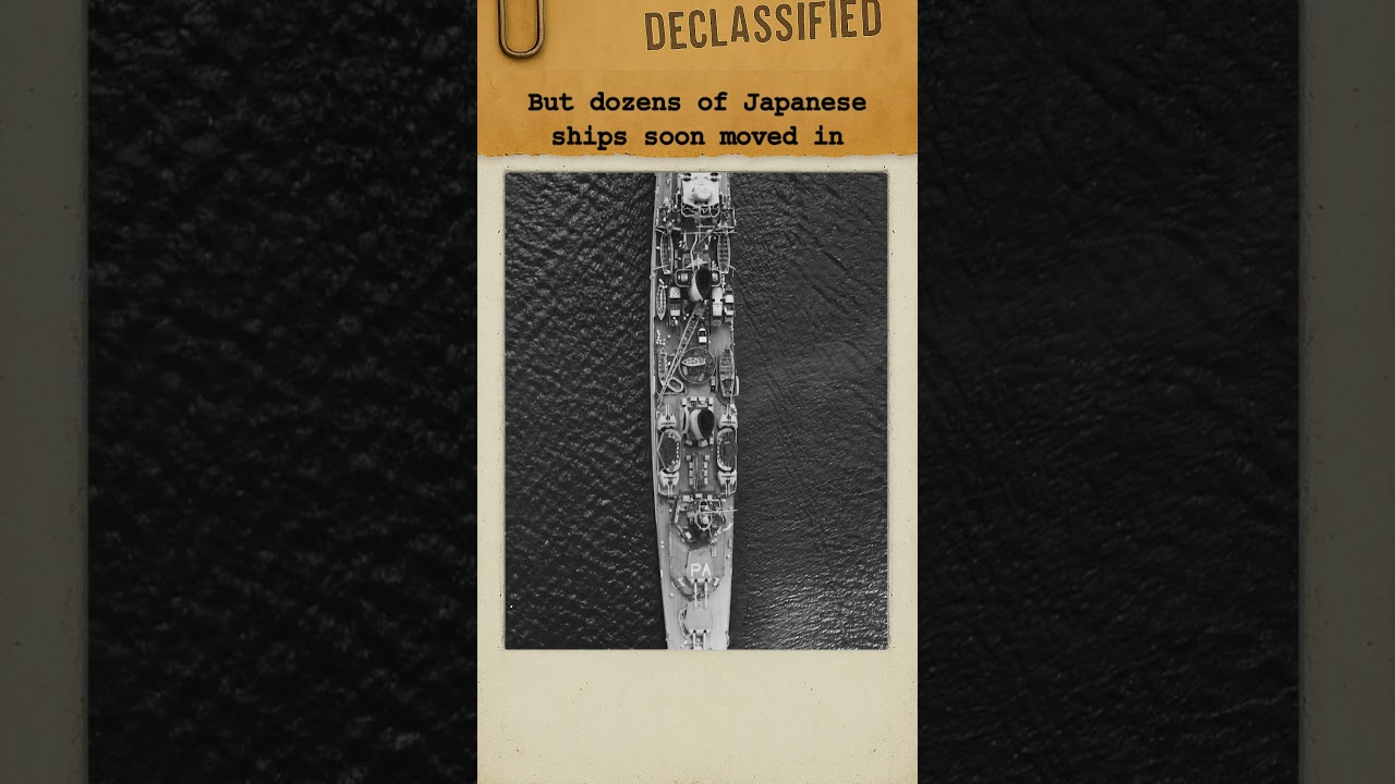 The Cruiser That Fought to the Last Shell, HMAS Perth | #history #shorts #ww2 #fyp
