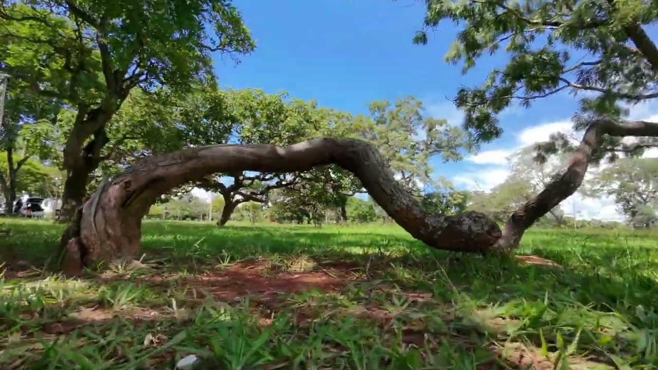 Meteor75 Pro no Parque da Cidade