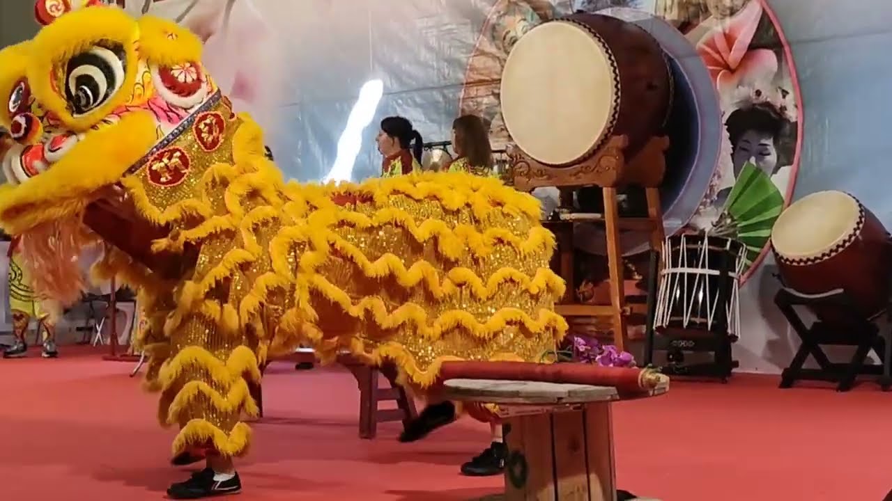 Festival dell'oriente Umbria 2024