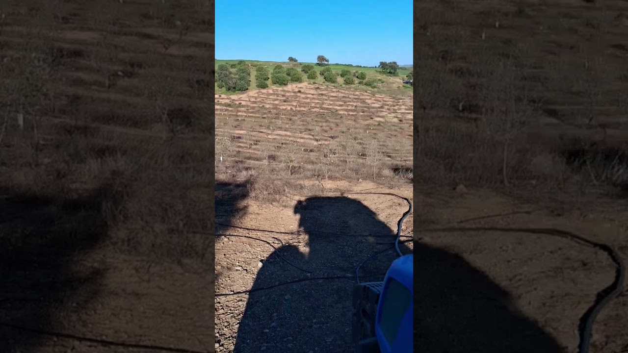 nueva finca de almendros #farming #agriculture #agro #agricultura