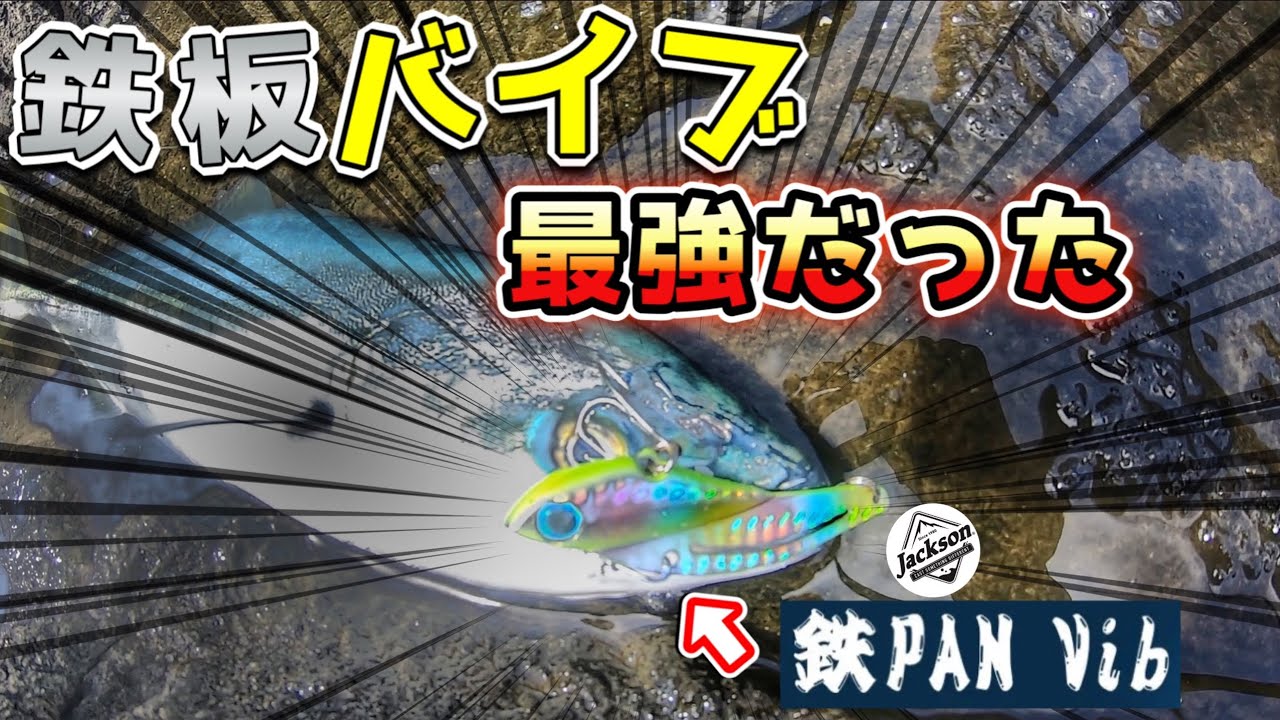 【ショアジギング】初心者必見!! メタルジグで釣れない時は鉄板バイブ☆ ジャクソン　Jackson 鉄PAN