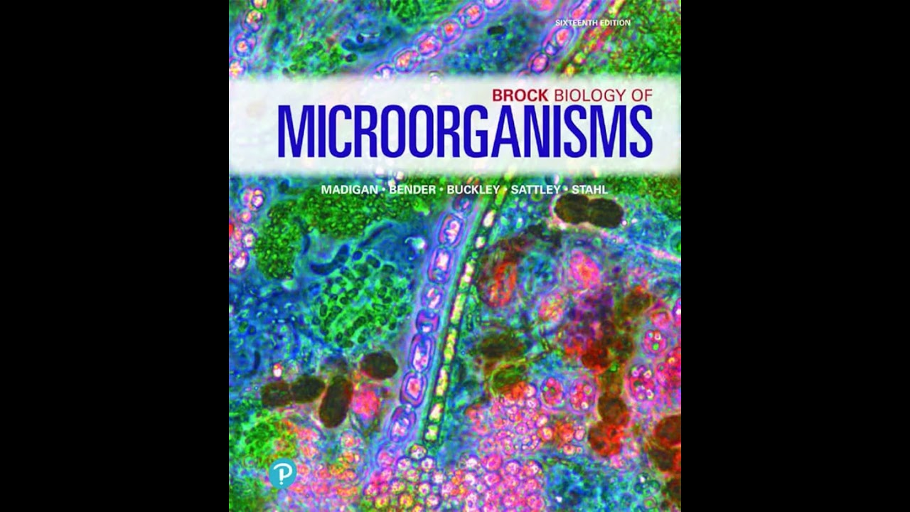 Waterborne & Foodborne Bacterial & Viral Diseases | Ch 33 &ndash; Brock Biology of Microorganisms (16th)