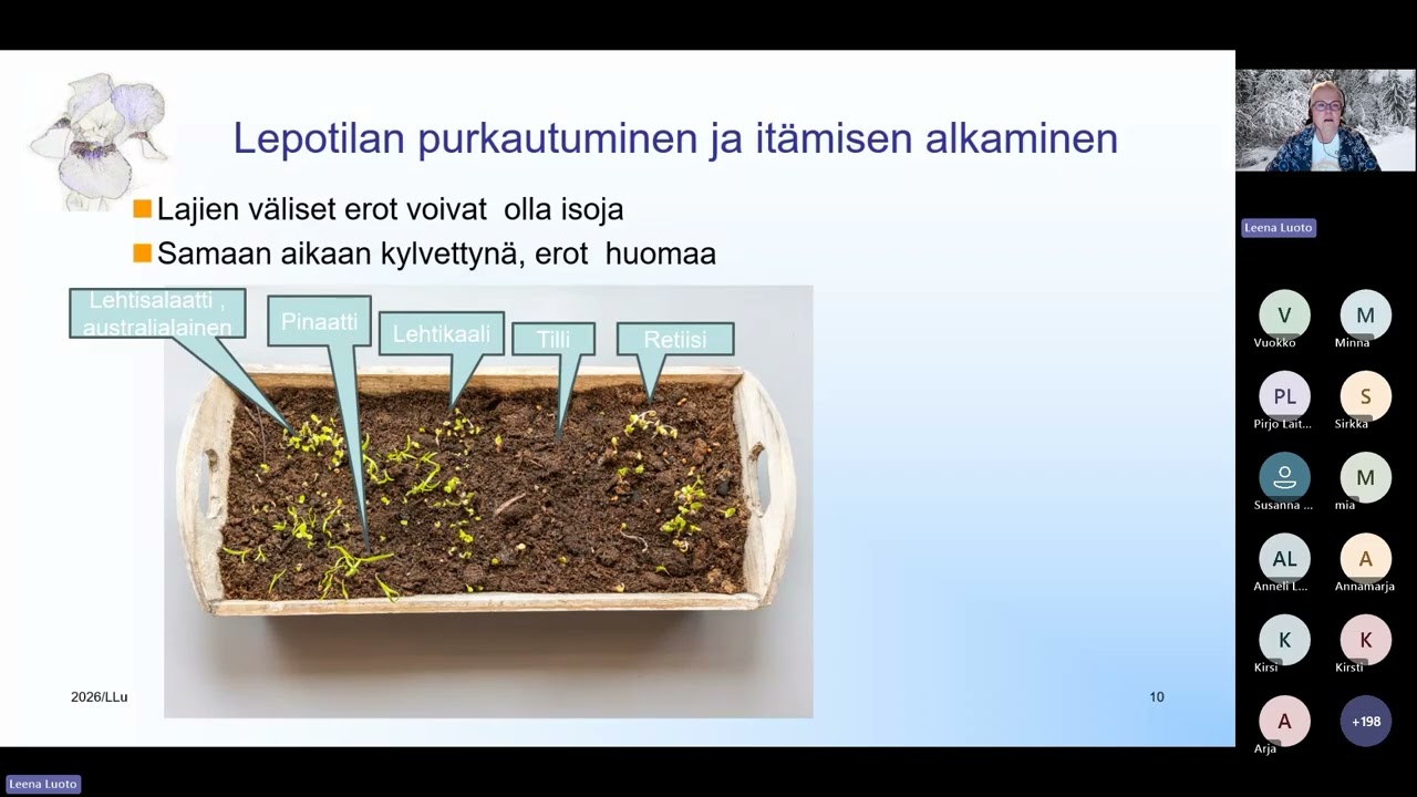 Talvi – ja hankikylvöt webinaari
