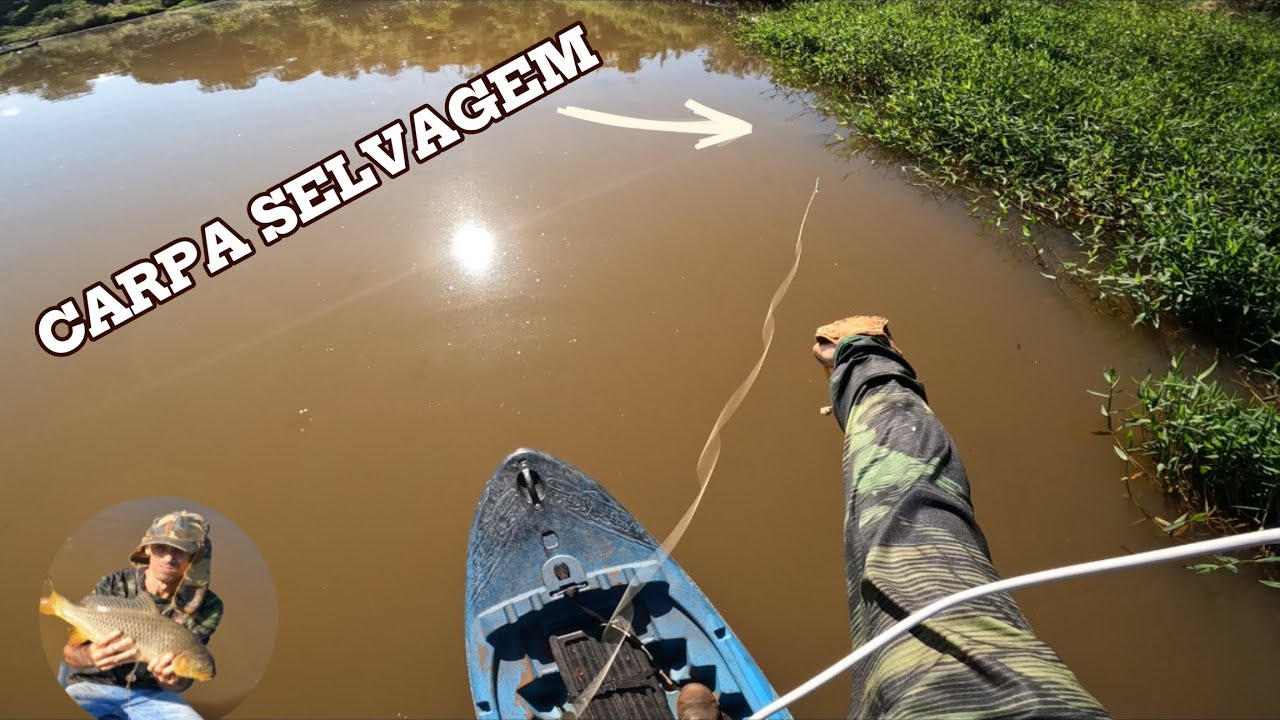 PESCA de ESTILINGUE no caiaque FRITO garantido!!#carpa #tilapia #slingshot