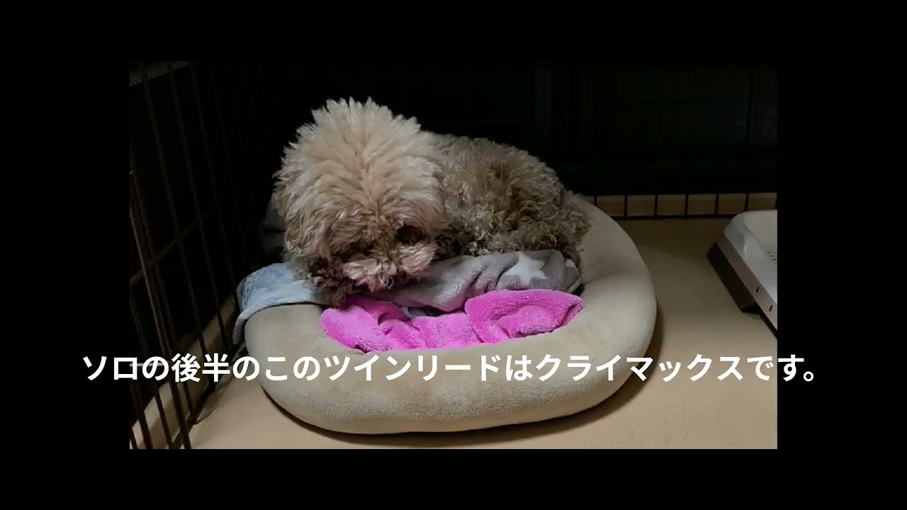 【カバー】Hotel California ギターソロ   ルウちゃんのお父さん