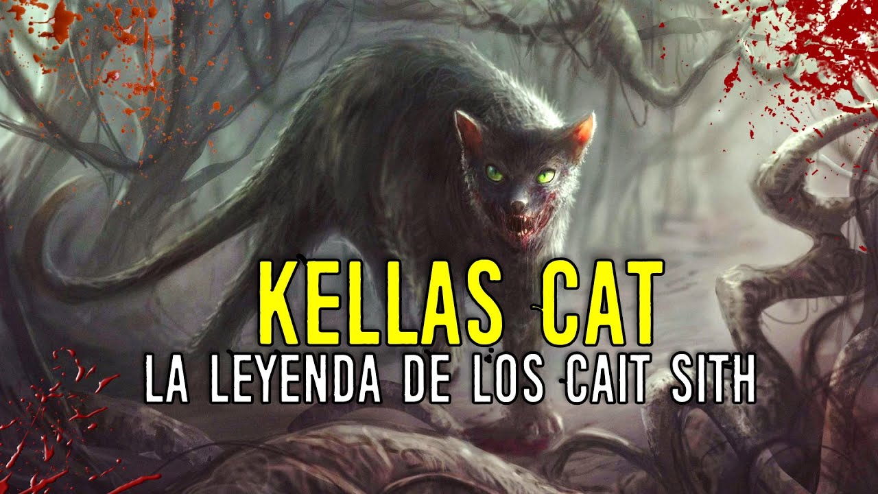 KELLAS CAT: Gatos de Kellas Mito o Realidad | Criptozoologia