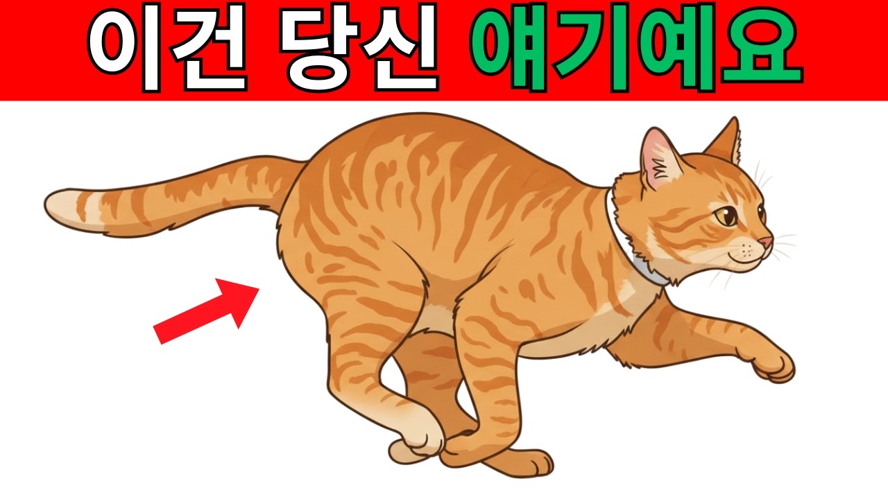 고양이가 갑자기 집 안을 미친 듯이 달린다면, 진짜 이유는 바로 이것입니다