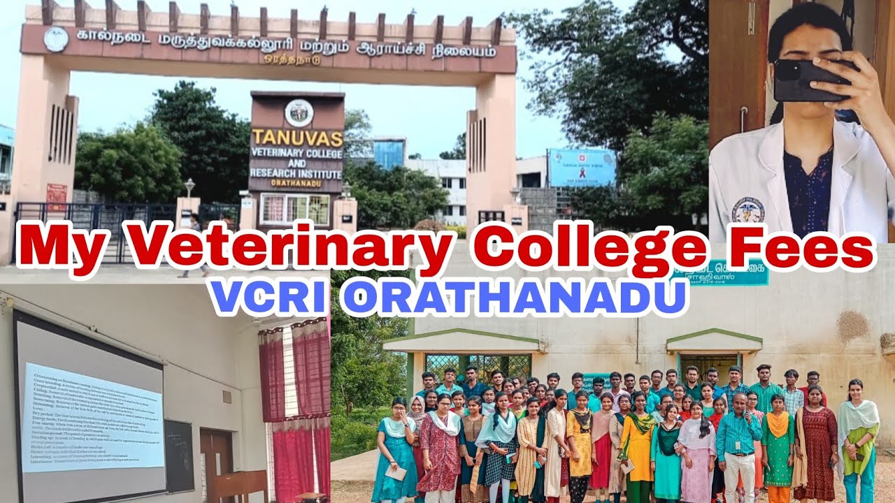 My Veterinary College Fees Structure! // VCRI ORATHANADU //TANUVAS// Annual Fees