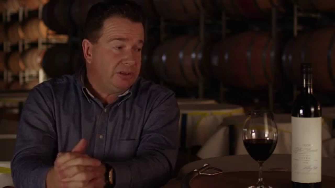 Taylors The Pioneer Shiraz
