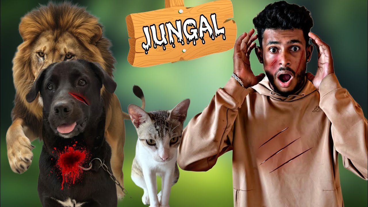 CHOTU WELLY DANGER ZOO TRIP | DANGER ANIMALS AATACK ON WELY #mrdhanno 
