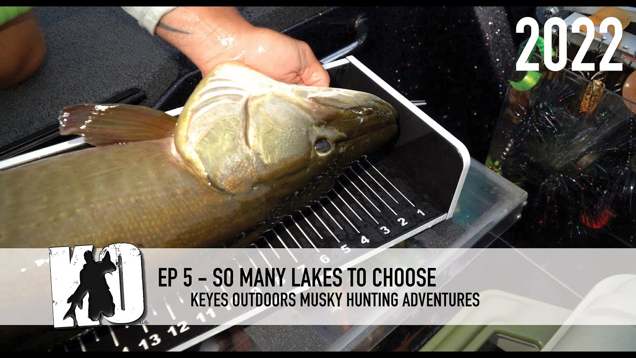 Множество озер с масковым оленем на выбор — Keyes Outdoors Musky Hunting Adventures