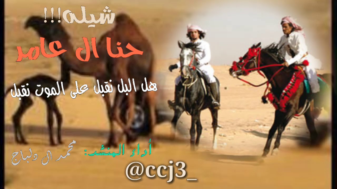 شيله ال عامر
