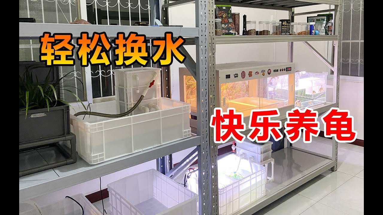 养龟太多换水麻烦?这样轻松换水，做一个快乐的养龟人！