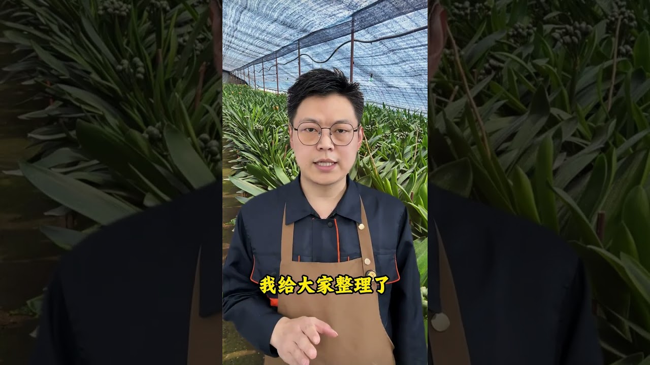 The Thrill of Flower Farming: A Journey of Color and Passion