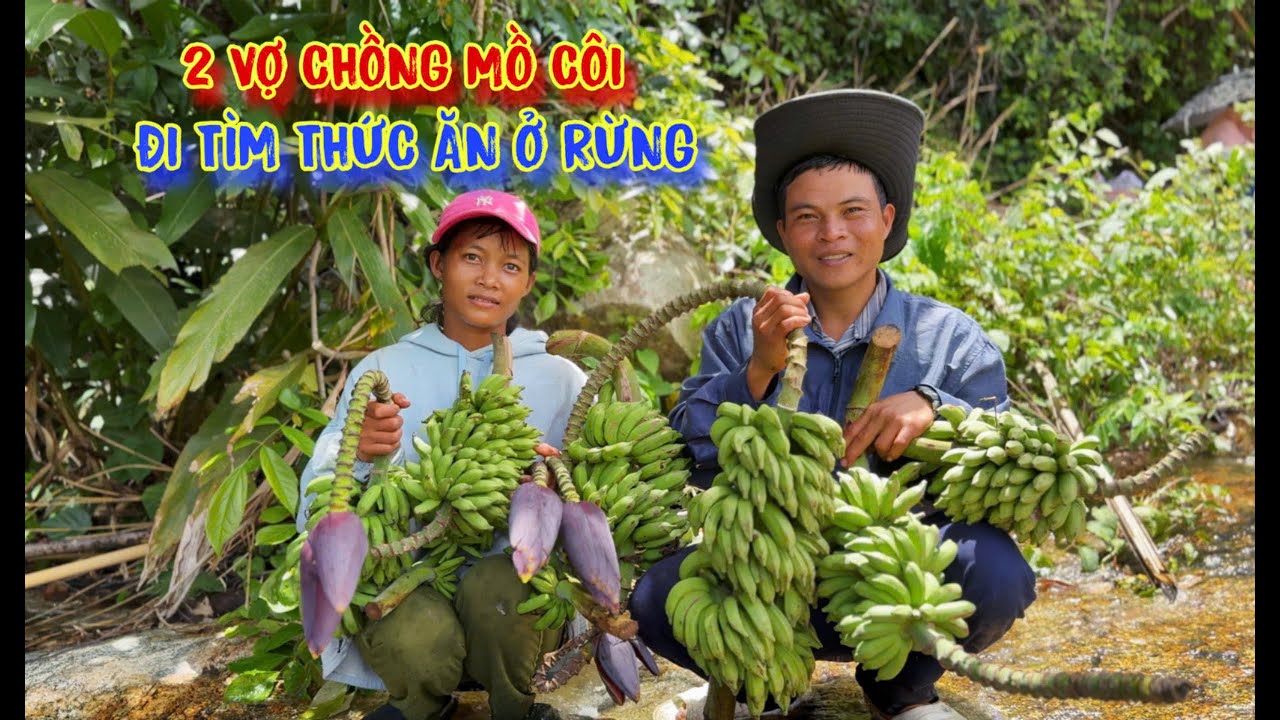 2 VỢ CHỒNG trẻ mồ côi, đi tìm THỨC ĂN ở trong rừng - tập 1493