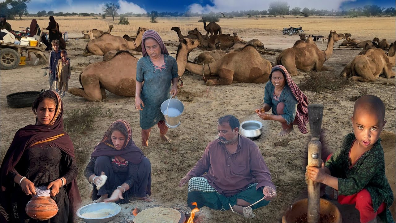 Pakistani Camel People Life Style In The Desert | Desert Women Morning Routine | Camle Milking