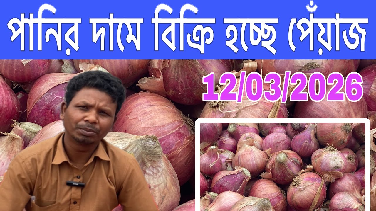 12/03/2026 পানির দামে বিক্রি হচ্ছে পেঁয়াজ পেঁয়াজ নিয়ে চরম বিপাকে কৃষক Onion market price today 