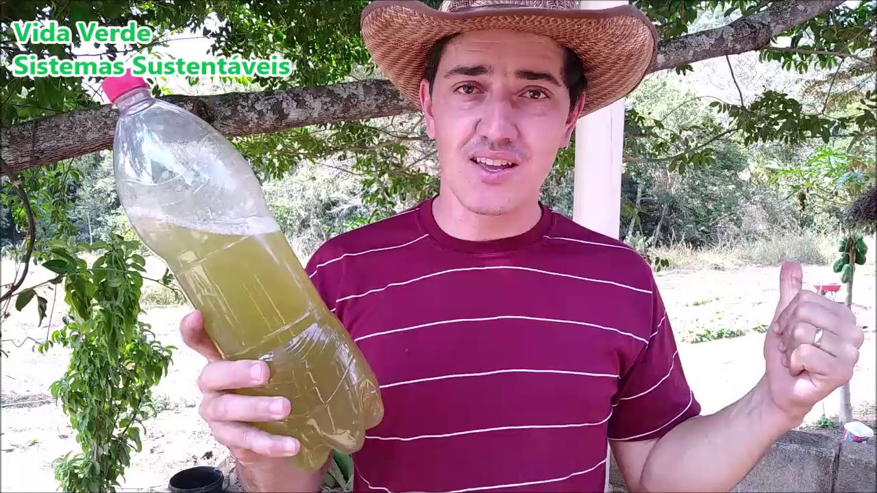 CALDA PODEROSA, Mata as PRAGAS e FERTILIZA a HORTA