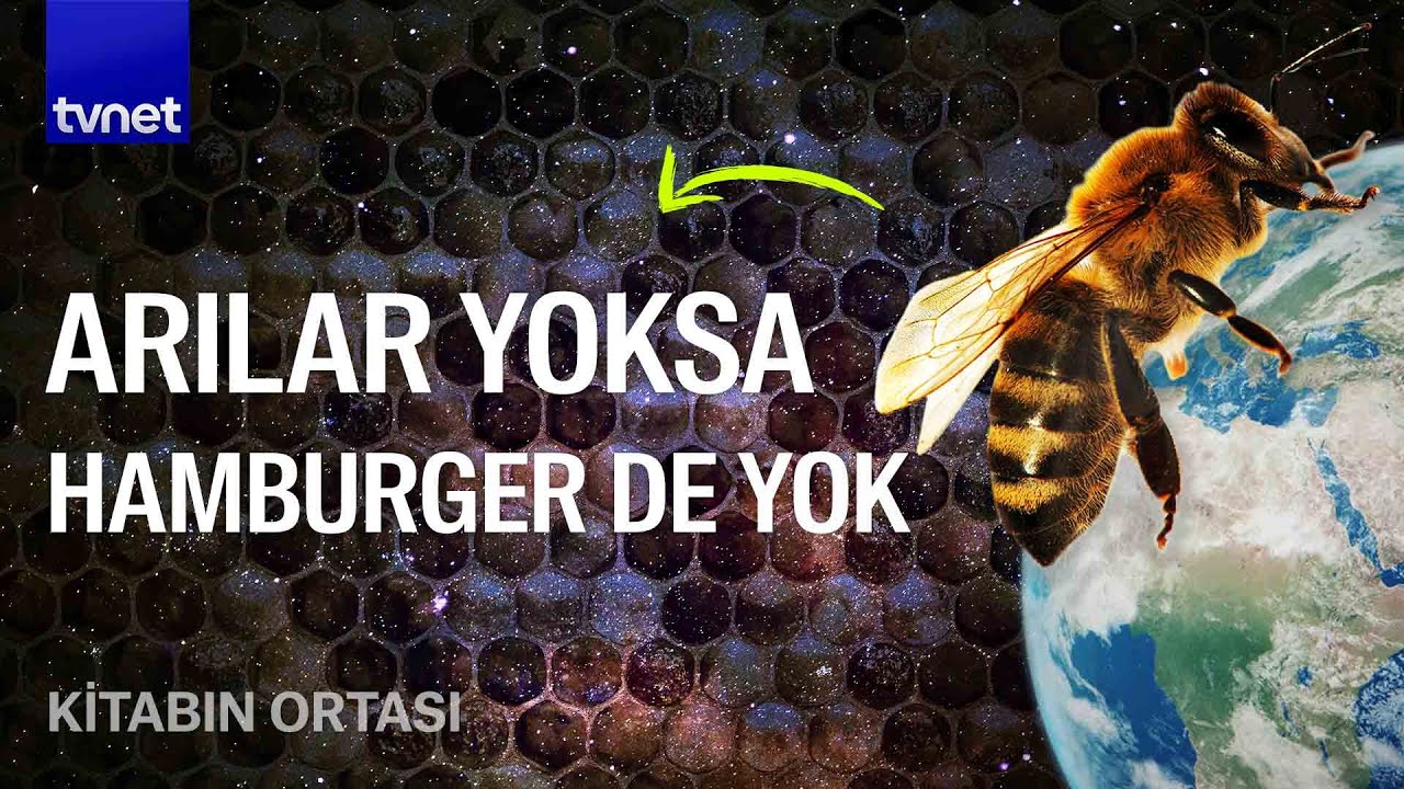Arılar olmazsa yaşayamaz mıyız?