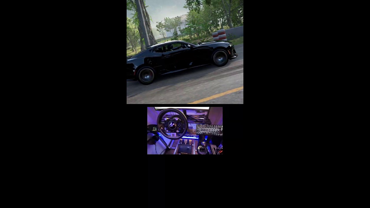 Forza Horizon 5 Live steering wheel