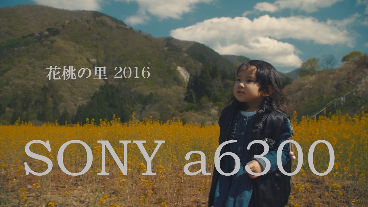 SONY &alpha;6300 花桃の里2016 (Pilotfly H2) 4K 24p