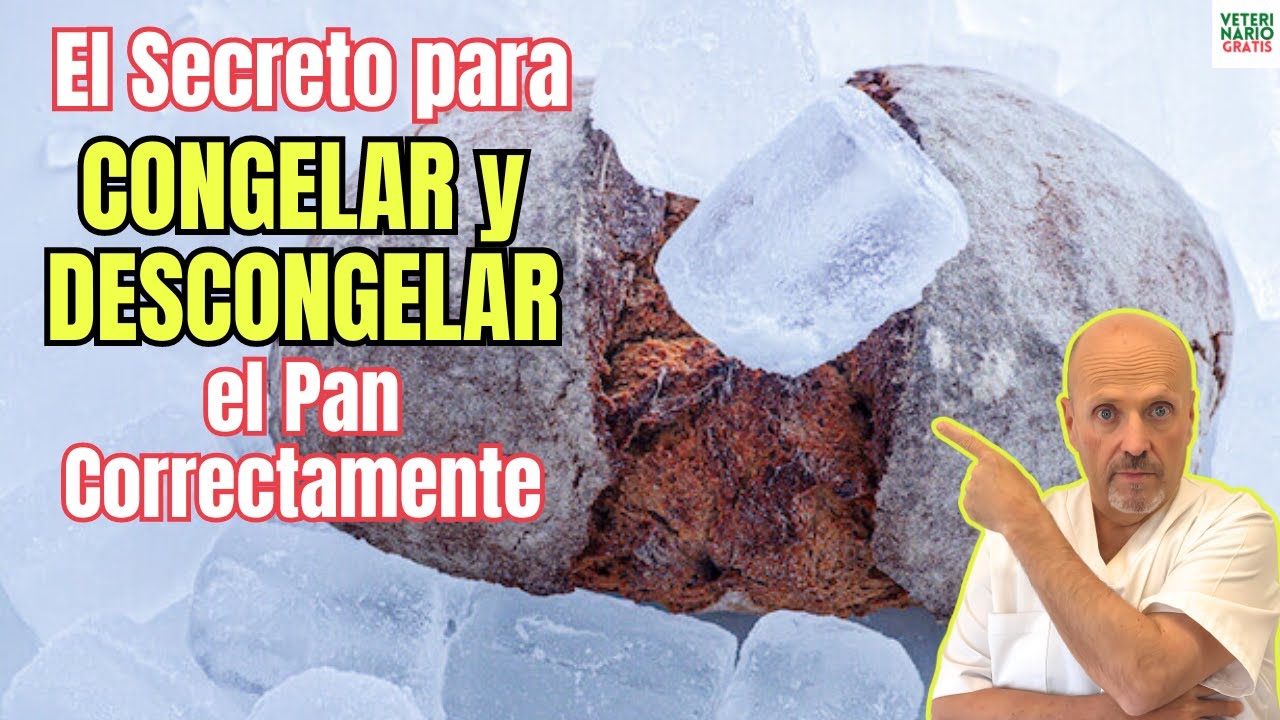 🥖 ¿COMO CONGELAR Y DESCONGELAR EL PAN CORRECTAMENTE? 🥖