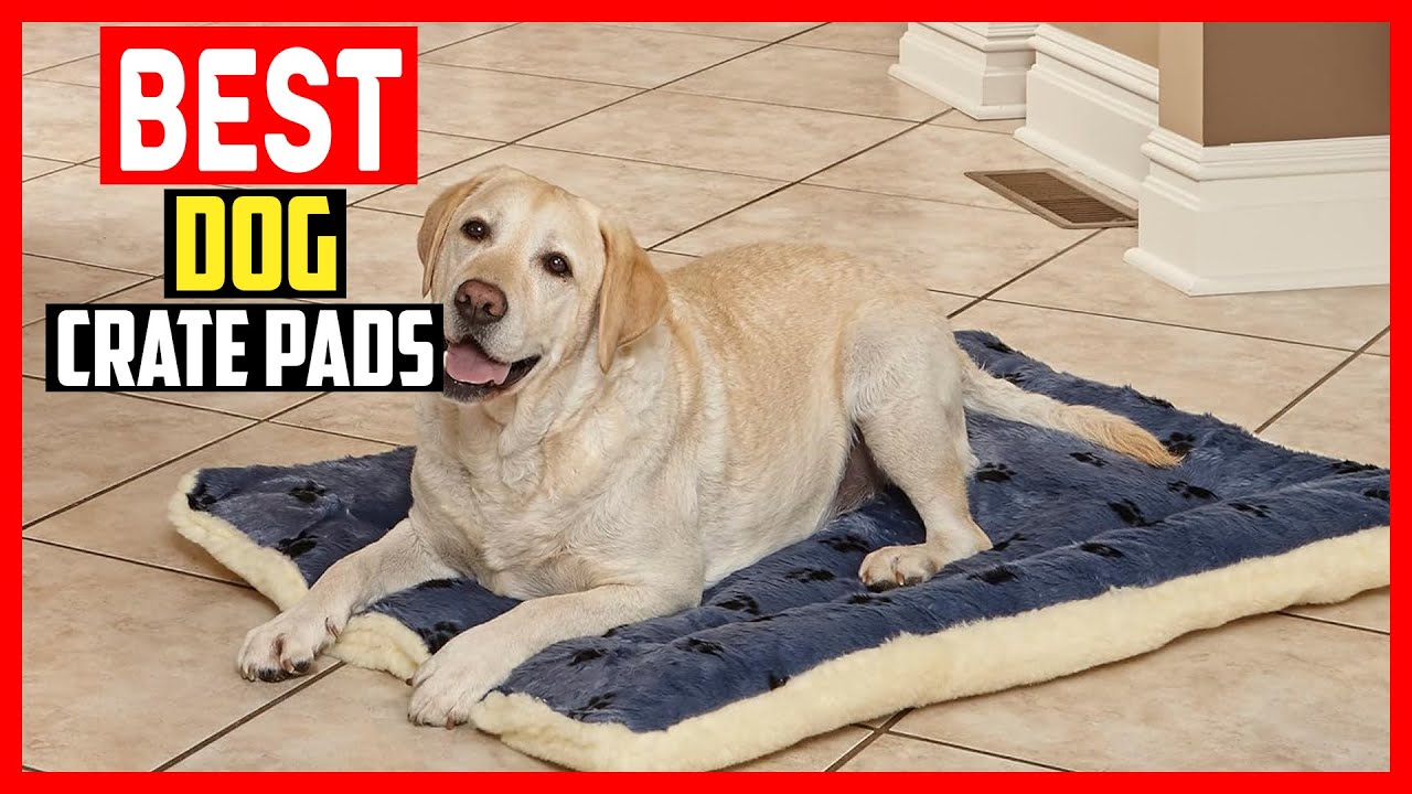 ✅Top 5 Best Dog Crate Pads in 2026
