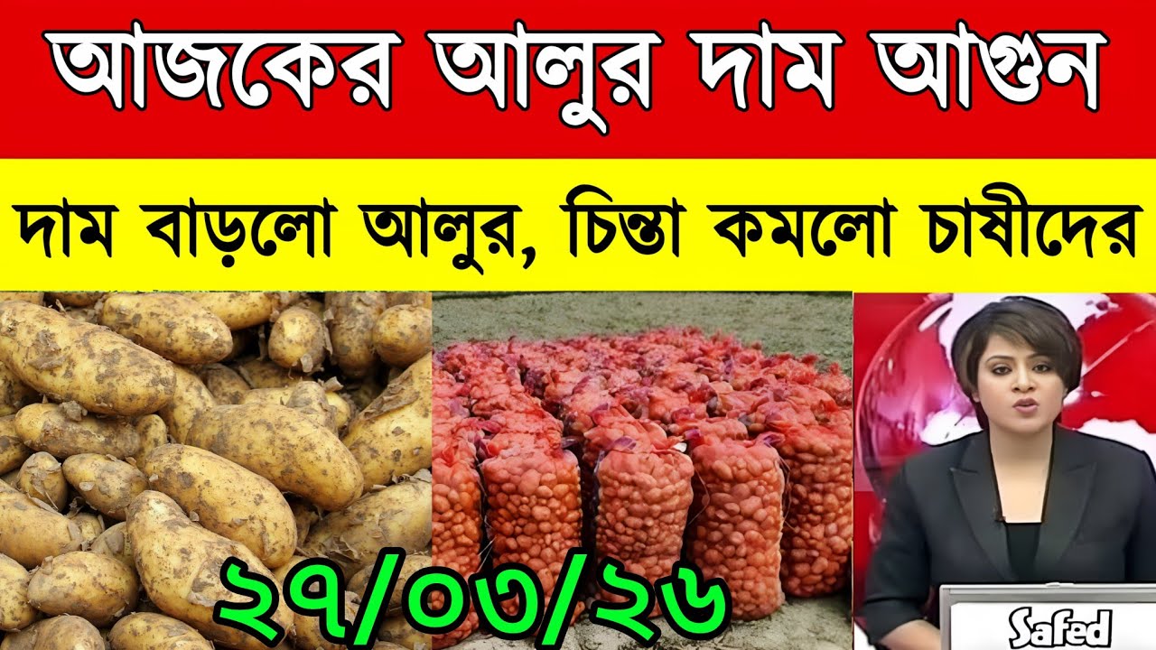 আজকের আলুর বাজার মূল্য/india potato news West bangal/Potato price today west bengal