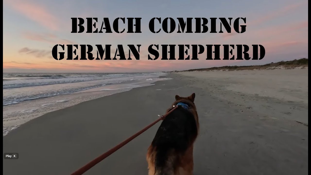 Thor walking on the Beach at Sunrise 20260117 0715: Nature Sounds and Visuals, Calming & Relaxing