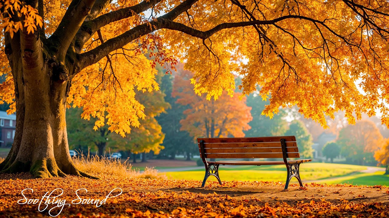 Healing Music 🍁 Autumn Melodies for Stress Relief & Inner Peace