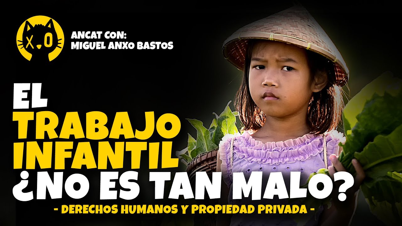 Miguel Anxo Bastos | DERECHOS HUMANOS, DEMOCRACIA Y PROPIEDAD PRIVADA