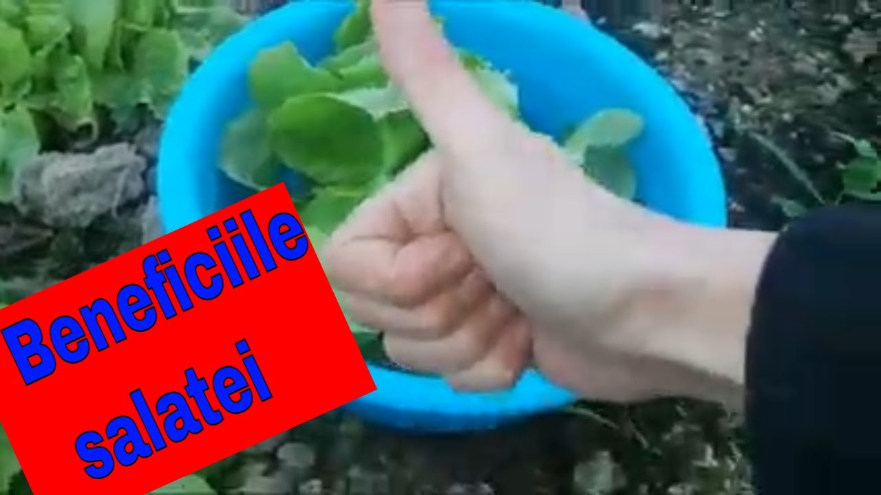 Salata verde. #Beneficii