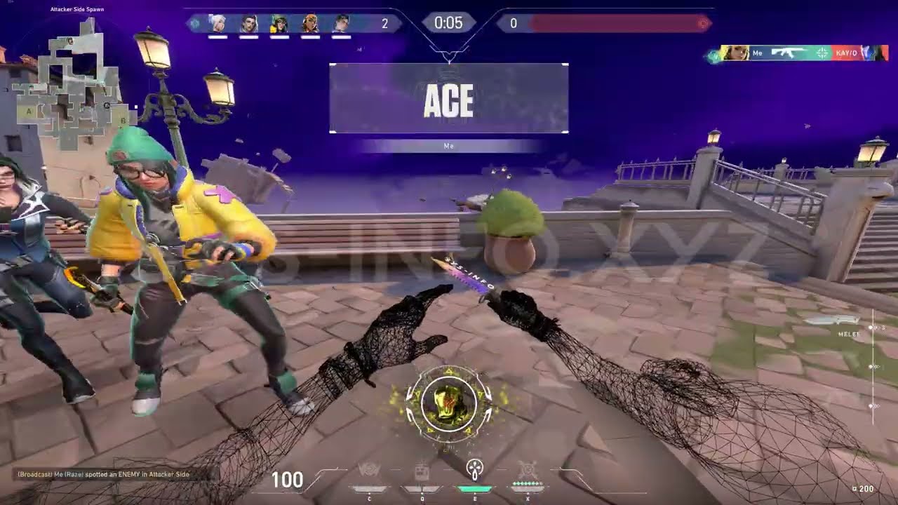 SysInfo Private | Rage Showcase #2