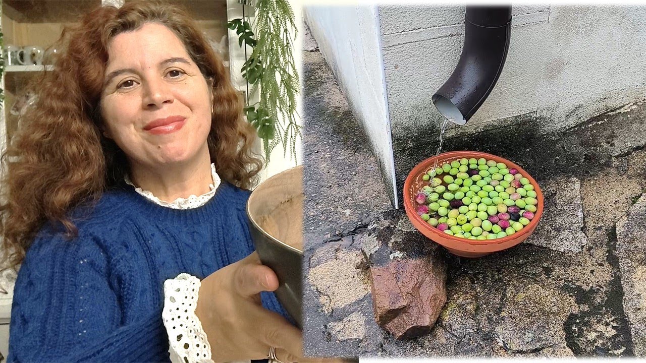 Endulzo  aceitunas como antaño. Agua sal y paciencia. Las tareas que las madres  hacían antes.