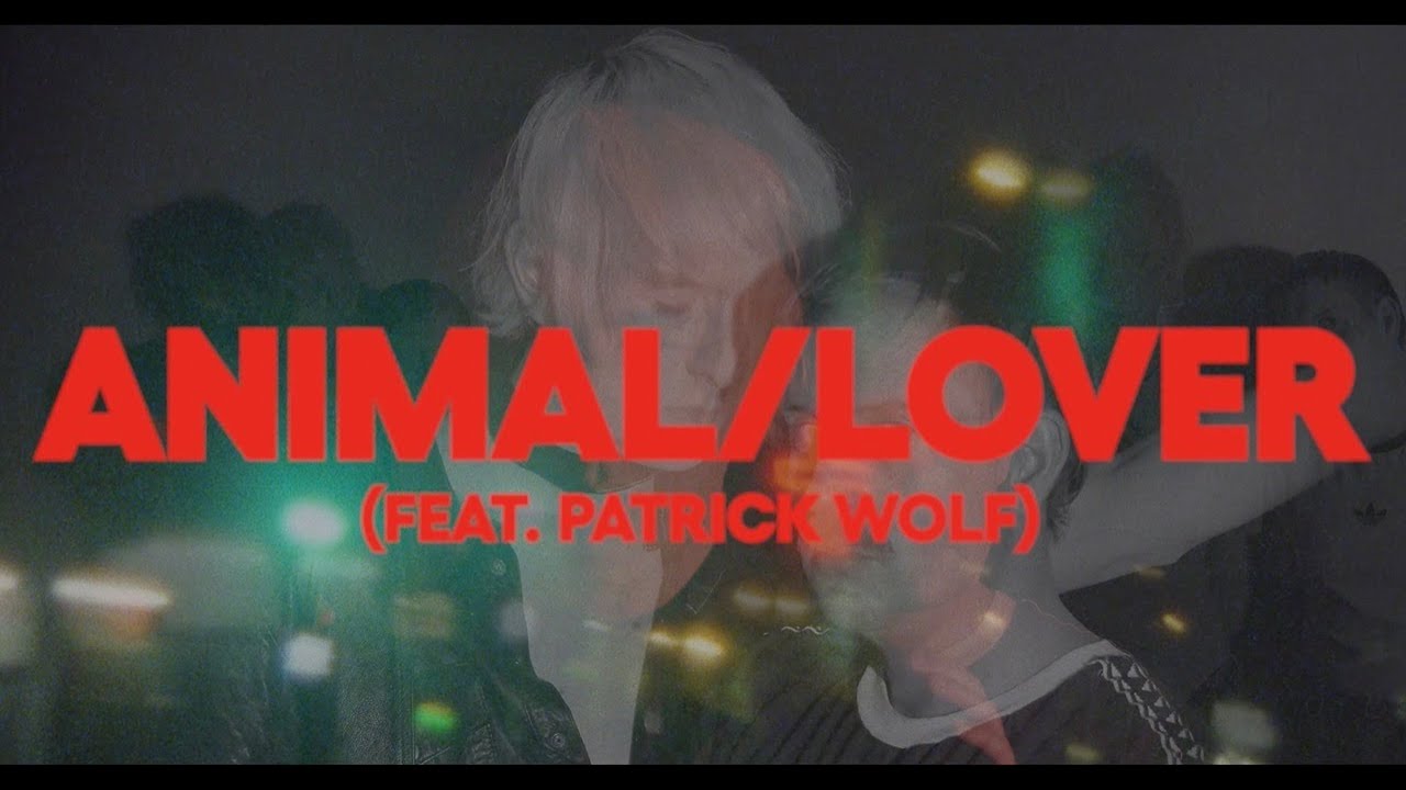 Rhumba Club - Animal/Lover feat. Patrick Wolf
