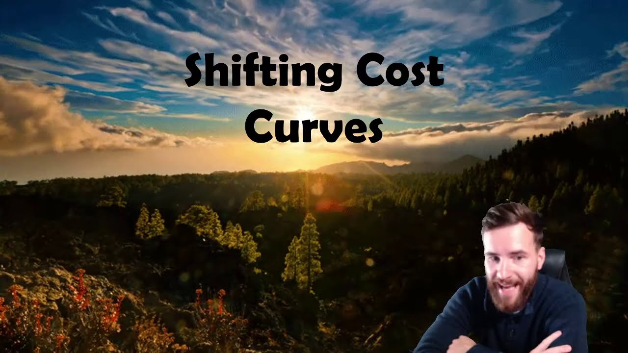 Shifting Cost Curves and Measuring Efficiency in Perfect Competition
