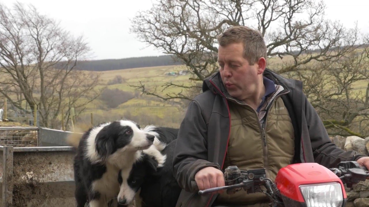 How Twitter has revolutionized a Farmer&rsquo;s life  | Twitter Stories