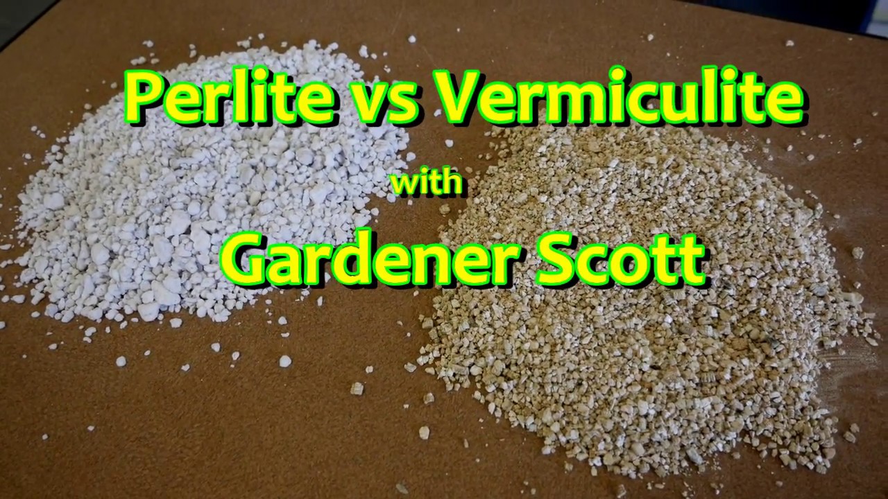Perlite vs Vermiculite