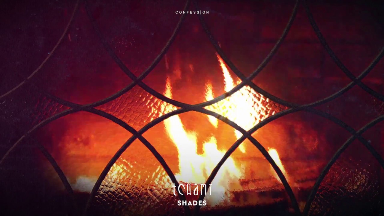 Tchami - Shades (feat. Donnie Sloan & Ricky Ducati)