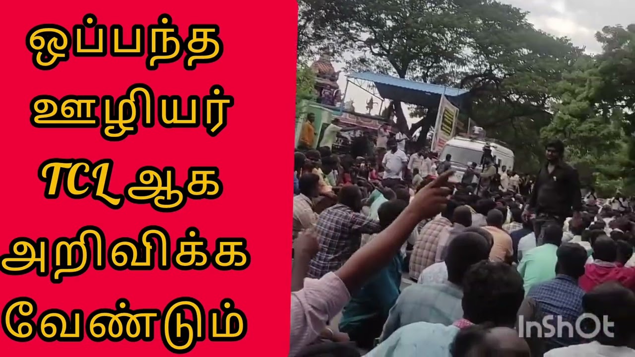 TNEB latest news | TCL ஆக அறிவிக்க வேண்டும் 