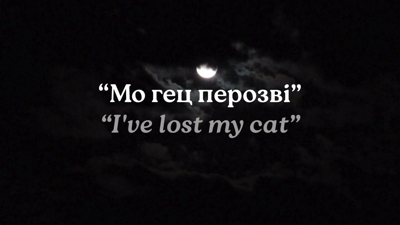 Aviera - Мо гец перозві | Cover of M&oacute;j kot zaginął (Dawid Tyszkowski)