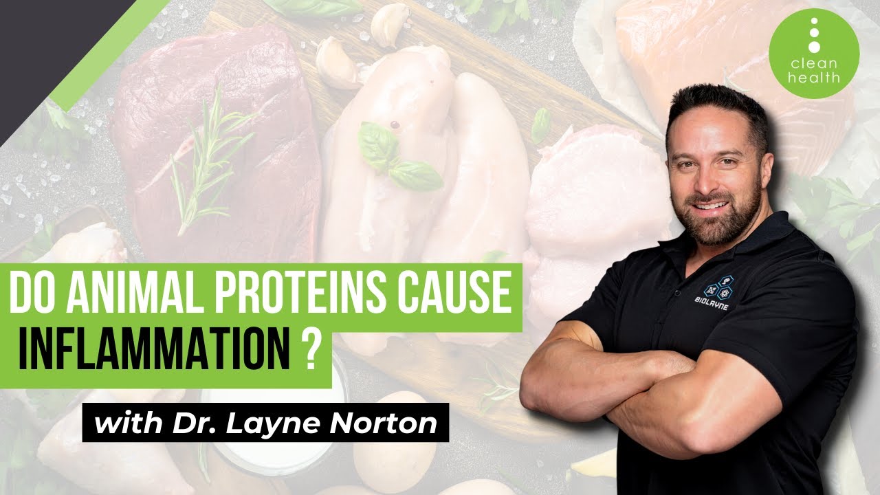 Do Animal Proteins Cause Inflammation with Dr Layne Norton