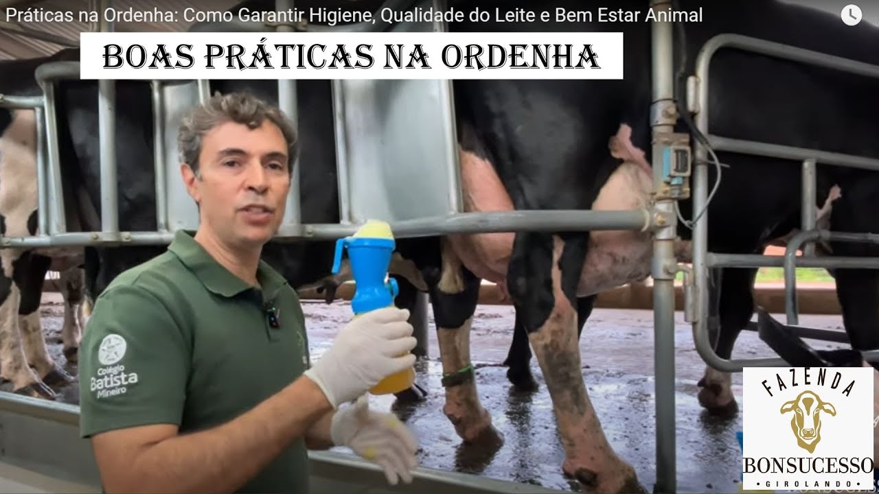 Boas Práticas na Ordenha: Dicas de Higiene, Qualidade do Leite e Bem-Estar Animal