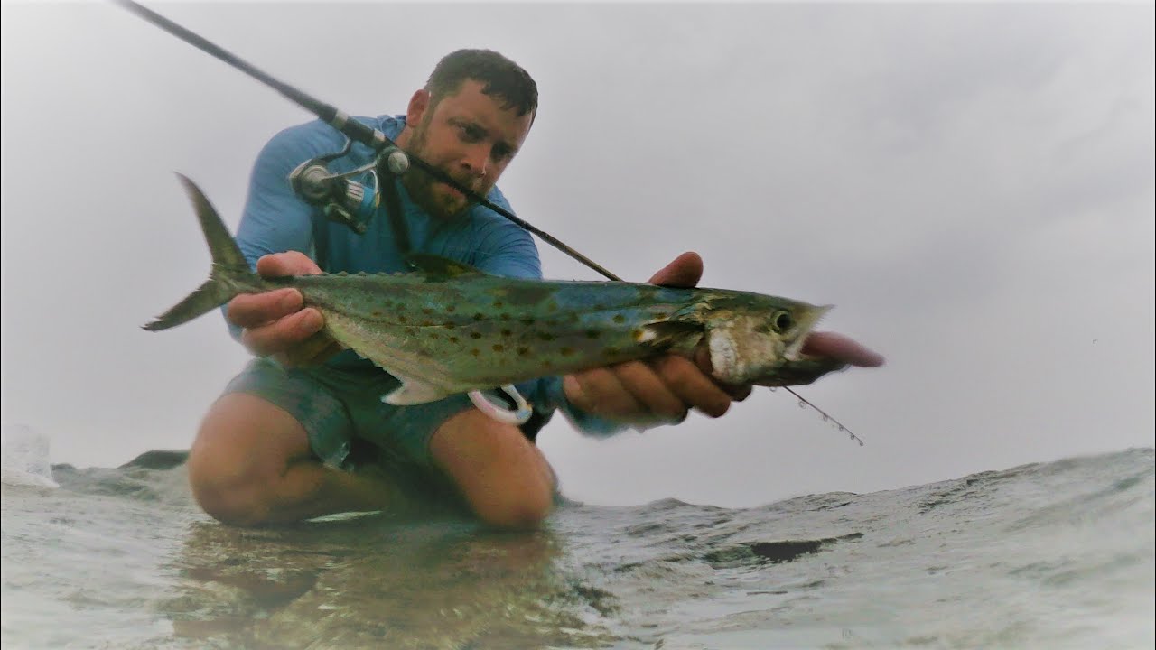 How to catch Spanish Mackerel from Shore!